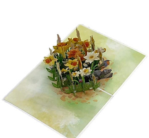 Thiệp 3D Pop Up Hoa Thủy Tiên Vàng – Thiệp Hoa Nghệ Thuật, Thiệp Chúc Mừng, Sinh Nhật, May Mắn, F56