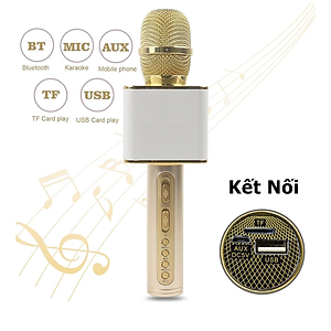 Micro Karaoke Bluetooth kèm loa kết nối điện thoại, máy tính bảng Hát Không Dây, Nghe Nhạc, Hỗ Trợ Kết Nối Thẻ Nhớ, USB Pin sạc MÀU ĐEN - Hàng Chính Hãng