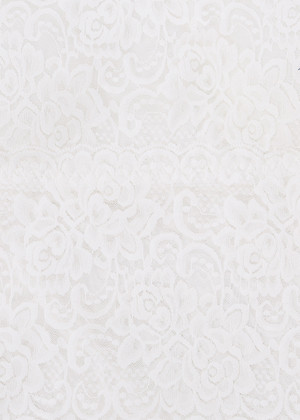 Áo Lót Ren Nữ Thời Trang Cao Cấp ALR01