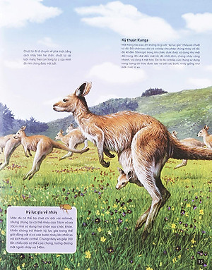 Sách Di Chuyển Và Di Cư