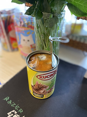 (MỚI) PATE DÀNH CHO MÈO KUCINTA LON 400G (GIÁ TỐT)