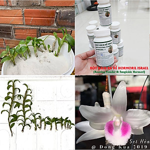 Bột Kích Rễ Israel - Dry Rooting Power Hormoril T3 (Hủ 100gr) dùng kích thích ra rễ nhanh, khỏe trong việc giâm chiết cành hay cây con họ thân mềm (có Thành phần T With Fungicige Ngăn Ngừa Nấm Bệnh vết cắt)