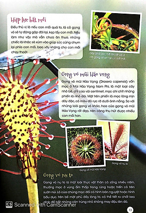 Sách Thực Vật Thần Kỳ