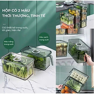 Hộp Đựng Thực Phẩm 3L Có Nắp Tách Nước Và Tay Cầm Tiện Lợi – Hộp Bảo Quản Đồ Ăn Tủ Lạnh - Hộp Lạnh - HÀNG CHÍNH HÃNG MINIIN