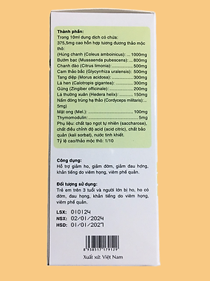 Siro ho Húng Chanh Family 100ml - cho bé, cho người lớn (hỗ trợ giảm ho, giảm đờm, giảm đau họng, khản tiếng; giúp tăng sức đề kháng)
