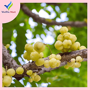 Chùm Ruột Rim Chua Ngọt Viettin Mart 500g