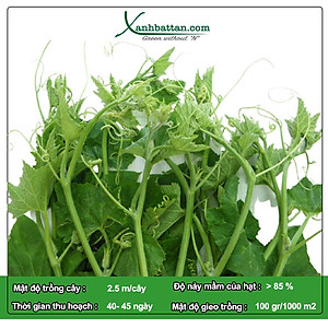 Hạt Giống Bí Ngọn Siêu Đọt - Bí Ăn Ngọn Phú Nông Gói 10 Gram