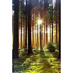 Sách Sinh tồn giữa thiên nhiên Cẩm nang toàn tập về dã ngoại