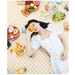 Thảm du lịch gấp gọn , bạt cắm trại chống nước , cao cấp nhỏ gọn ,  họa tiết  sọc caro  , có thể xách tay ,  vô cùng tiện lợi