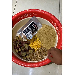 Mồi câu cá Lk Hòa | Thính Lk Câu cá chép trắm trôi siêu nhạy