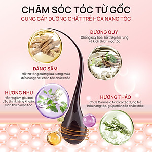 Dầu gội thảo dược Fresh Shampoo giảm rụng tóc, giảm gàu, nuôi dưỡng tóc mềm mượt và chắc khỏe từ gốc 500ml
