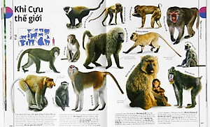 Sách Động Vật - Bách Khoa Thư Hình Ảnh Về Các Loài Vật Trên Trái Đất