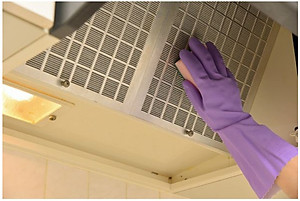 Găng tay cao su mềm mịn tự nhiên cao cấp Shaldan Vinyl màu tím - Made in Japan