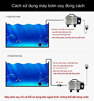 Máy sục sủi thổi khí oxy hồ bể cá cảnh 25W - 45L/P chất lượng cao,công suất mạnh, tiết kiệm điện