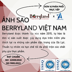 Nước cốt hoa Atiso đỏ BerryLand 500ml