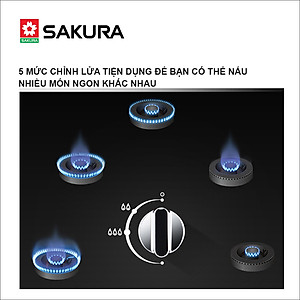 Bếp gas âm Sakura SG-2525GB - Hàng chính hãng
