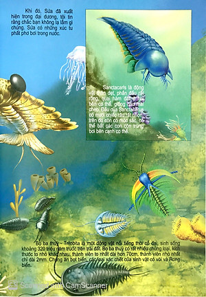 Sách Thế Giới Động Vật Kì Thú - Động Vật Thời Cổ Đại