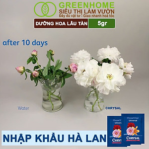 Dưỡng Hoa Lâu Tàn Greenhome, Chrysal, Gói 5gr, Phân Bón Cho Hoa Cắt Cành, Lâu Tàn, Nở Bông To, Không Bị Hôi Nước