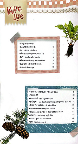 Sách Thực Vật Xinh Đẹp