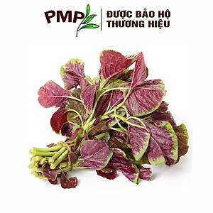 Hạt Giống Rau Dền Đỏ PMP 05g