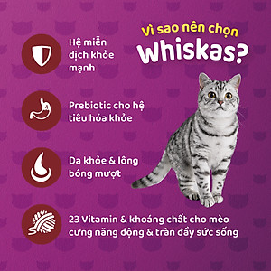 Thức Ăn Cho Mèo Whiskas Adult 1+ Years Vị Saba Nướng 1.2kg/Túi