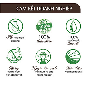 Xịt Phòng Tinh Dầu Quế Hữu Cơ Organic 24Care 50ML/100ML - Kháng khuẩn - Khử mùi hôi - Đuổi muỗi - côn trùng - Giúp định tâm khi đi xa, ngủ khách sạn, giảm cảm giác bất an - Hương thơm thư giãn.