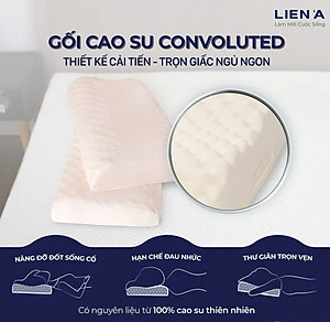 Gối Cao Su Liên Á Massage Convoluted LAGM3860 (38 x 60 x 12 cm) - Trắng (Giao mẫu ngẫu nhiên)