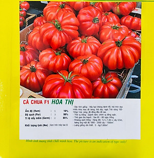 Hạt giống cà chua Hoa thị quả to đẹp - năng suất cao VTP55