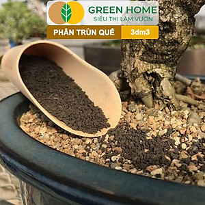 Phân Trùn Quế Bột Greenhome, Bao 3dm3, Nguyên Chất, Bổ Sung Dinh Dưỡng, Cải Tạo Đất