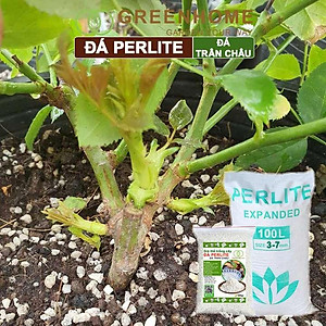 Đá Perlite Greenhome, Bao 300gr, Trồng Hồng, Thuỷ Canh, Giá Thể Trân Châu Giàu Khoáng Chất, Tăng Độ Tơi Xốp