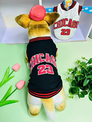 ÁO CHICAGO SANG XỊN DÀNH CHO THÚ CƯNG CHÓ MÈO