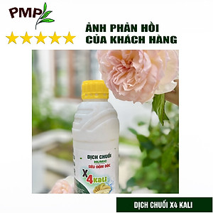 Combo 2 Chai Dịch Chuối Humic PMP Vi Sinh Chuyên Dùng Cho Hoa Hồng, Rau Sạch 1L/Chai