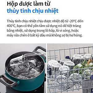 Bộ 3 hộp thủy tinh đựng thực phẩm cho bé LocknLock Baby Food container LLG542S3IVY - 280ml, Nắp vặn chống tràn, chất liệu không BPA an toàn cho trẻ em, có vạch chia - Hàng chính hãng