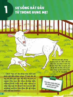 Sách Hiểu Về Sự Sống - Sự Sống Bắt Đầu Từ Đâu? - Tập 1