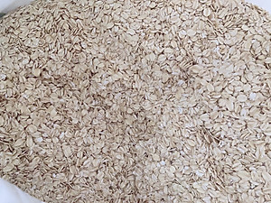 Yến mạch không biến đổi gen Unigrain Úc_Unigrain oats non GMO from Australia