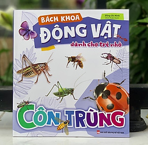 Sách - Bách Khoa Động Vật Dành Cho Trẻ Nhỏ - Côn Trùng