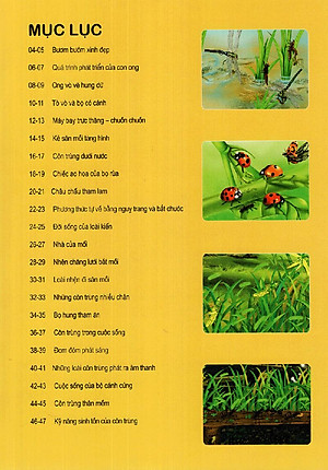 Sách Thế Giới Động Vật Kì Thú - Vườn Côn Trùng