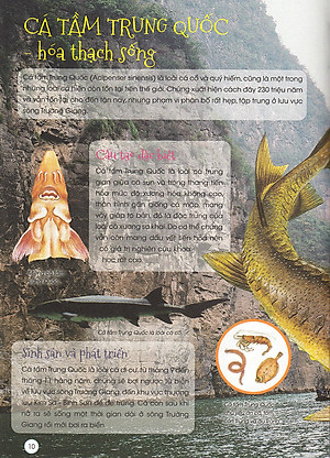 Thiên Nhiên- Những Bí Mật Còn Ẩn Giấu - Động Vật Quý Hiếm (Tái Bản 2019)- 2HBooks