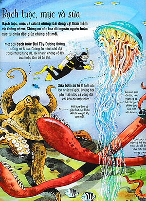 Sách Tương Tác - Big Book - Cuốn Sách Khổng Lồ Về Các Loài Động Vật Biển (Tái Bản 2018)