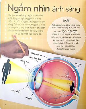 Sách Khoa Học Khắp Quanh Ta - Siêu Giác Quan