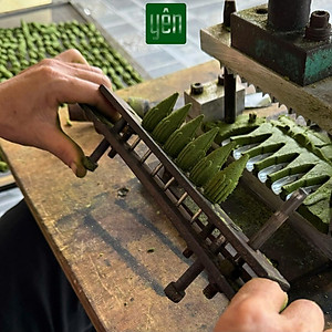 Nụ Khuynh Diệp Sạch Ít Khói Hộp 40 Nụ Yên Tự Nhiên Không Hóa Chất Thờ Cúng Thư Giãn Xông Nhà Tẩy Uế