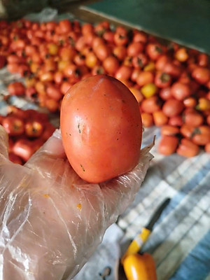 Hồng sấy dẻo Đà Lạt 500g