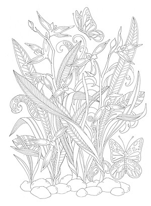 Tô Màu Người Lớn - MAI LAN CÚC TRÚC