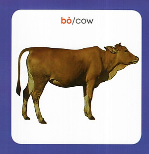 Từ Điển Hình Ảnh Cho Bé: Động Vật (Tái Bản 2019)