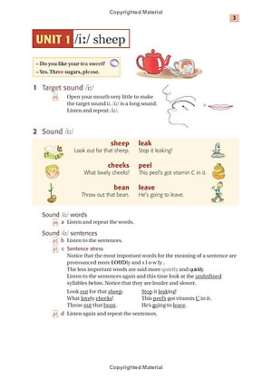 Sách Ship or Sheep? Book and Audio CD Pack: An Intermediate Pronunciation Course