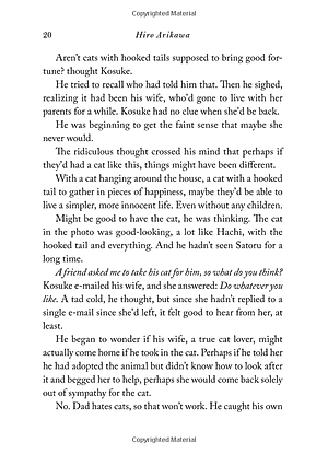 Sách The Travelling Cat Chronicles