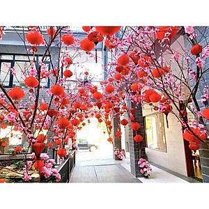 Combo 10 Lồng Đèn Đỏ Trang Trí Tết Bằng Nilon Chống Nước Mẫu Đèn Tổ Ong - Hàng Chính Hãng MINIIN