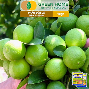 Phân Bón Npk 5-45-10, Greenhome, Đầu Trâu, Gói 10Gr, Phân Bón Kích Ra Hoa, Đậu Trái