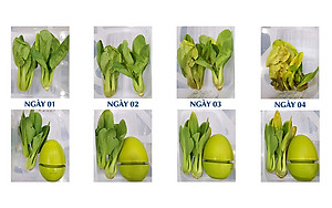 THIẾT BỊ TẠO OZONE DIỆT KHUẨN, KHỬ MÙI TỦ LẠNH GUARDIAN ANGEL - HÀNG NHẬP KHẨU