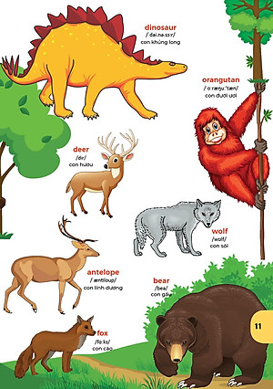 Sách Bách khoa hình ảnh đầu tiên cho bé , song ngữ Anh - Việt , dành cho bé 0-6 tuổi( My First picture encyclopedia )bìa cứng